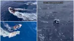 Un iaht de peste un milion de euro ar fi fost furat de un român, în Spania. A fost prins după o urmărire spectaculoasă