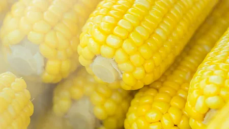 Cât trebuie să plătești pentru un PORUMB fiert pe litoral la sfârșitul lunii august 2024