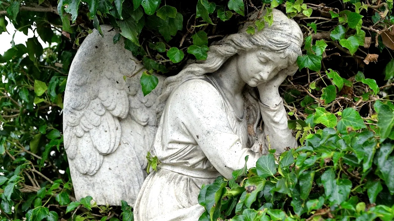 Bărbat din Medgidia, mort de 40 de ani, amenințat cu executarea silită