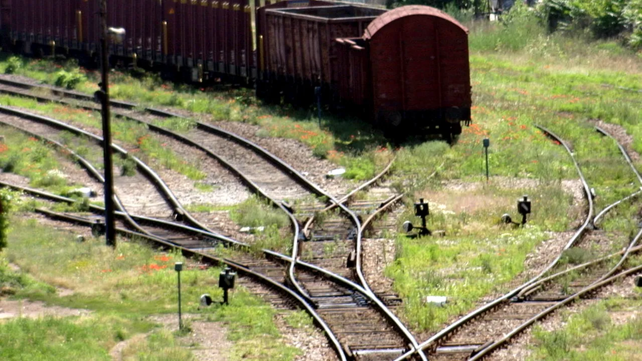 Cât se așteaptă Ministerul Transporturilor să câștige din vânzarea CFR Marfă