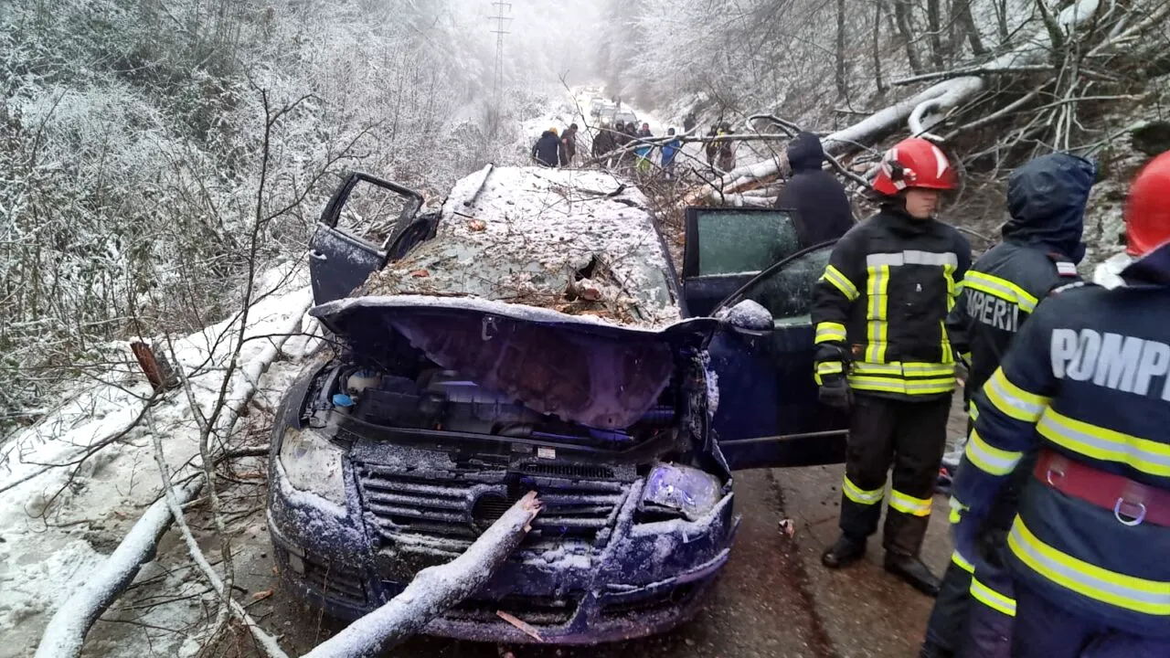 Băiatul de 14 ani MORT după ce un copac a căzut peste mașina în care se afla se întorcea de la schi