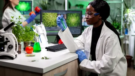 Alimente din plante sau carne obținută cu furaje modificate genetic, la secret. Ce spune noua lege referitor la organismele produse în laborator