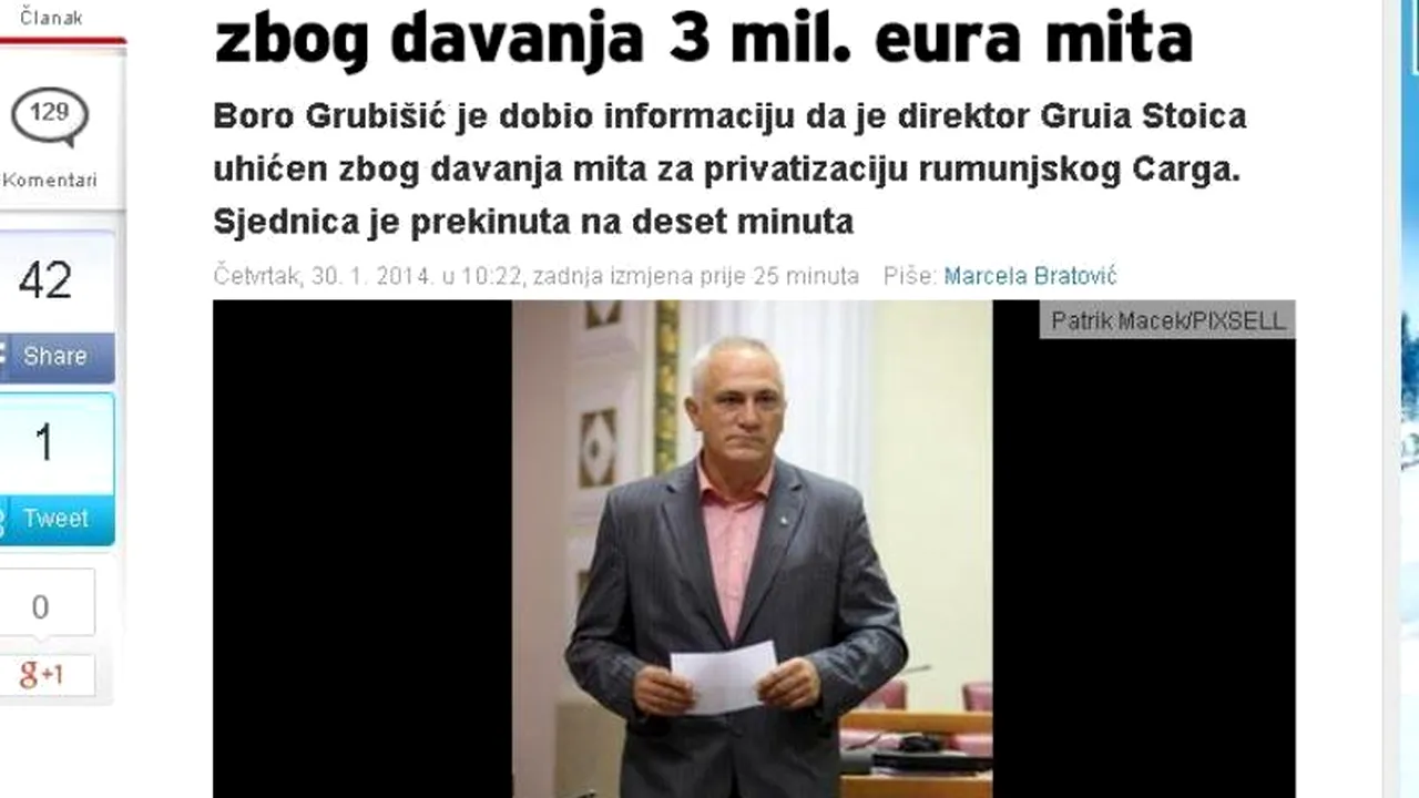 Reacția parlamentarilor croați după ce presa străină a scris despre reținerea lui Gruia Stoica, 