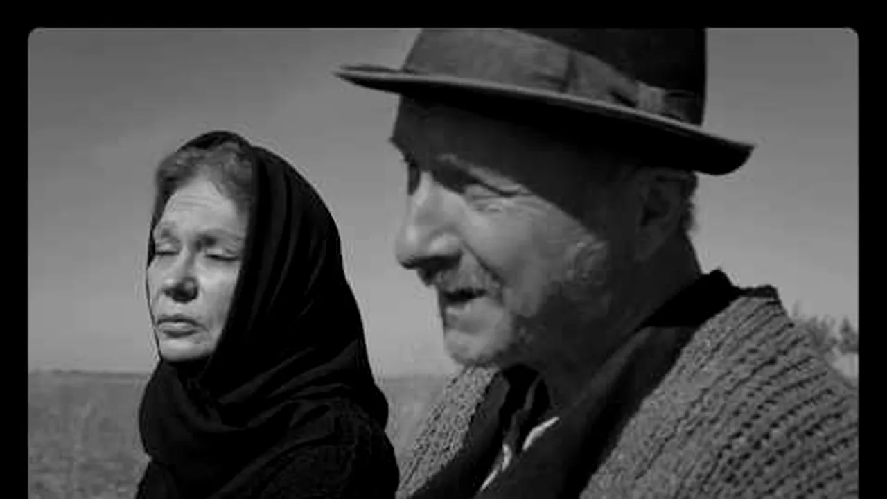 Premiere de week-end: DRAMĂ în pași de dans, MAGIE și lumea văzută prin înțelepciunea lui Moromete