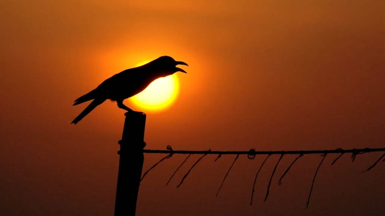 Ce s-ar întâmpla pe Pământ dacă temperaturile ar crește cu doar 2 grade Celsius