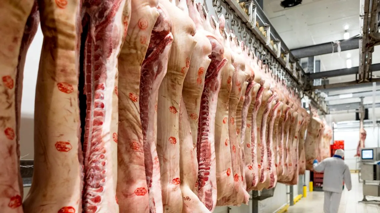 EXCLUSIV | Cum gestionează, de fapt, managementul unui abator de porci activitatea de producție în vreme de #coronacriza