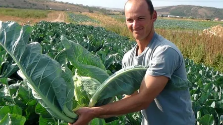 Cum a ajuns o cooperativă agricolă din Cluj să fie premiată de americani pentru antreprenoriat