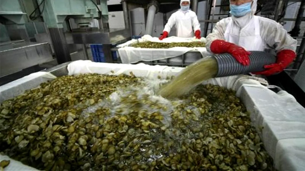 Șase persoane au murit în Japonia în urma contaminării cu bacteria E. coli