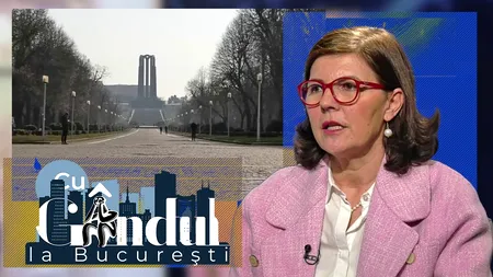 VIDEO EXCLUSIV | Cum explică șefa ALPAB dezastrul din parcurile bucureștene. Corina Bega: „Culegem roadele acelor activități care nu s-au făcut o perioadă îndelungată de timp”