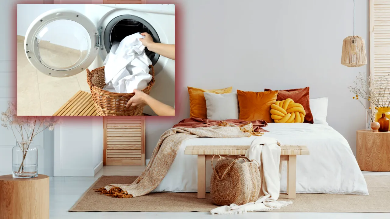 De câte ori ar fi ideal să speli lenjeria de pat, potrivit unui microbiolog. Ce se întâmplă dacă lași perna în congelator timp de 8 ore