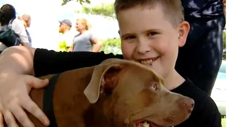 Acest pitbull i-a salvat viața unui copil surd