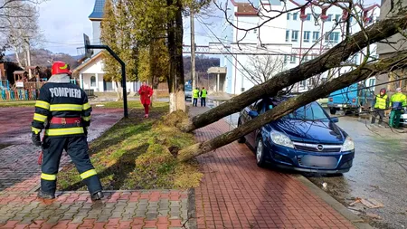 Cod galben de vânt. Vijelia a smuls copaci, cabluri și acoperișuri