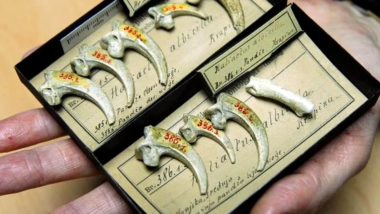 Unde au fost descoperite cele mai vechi bijuterii din lume, realizate în urmă cu 130.000 de ani