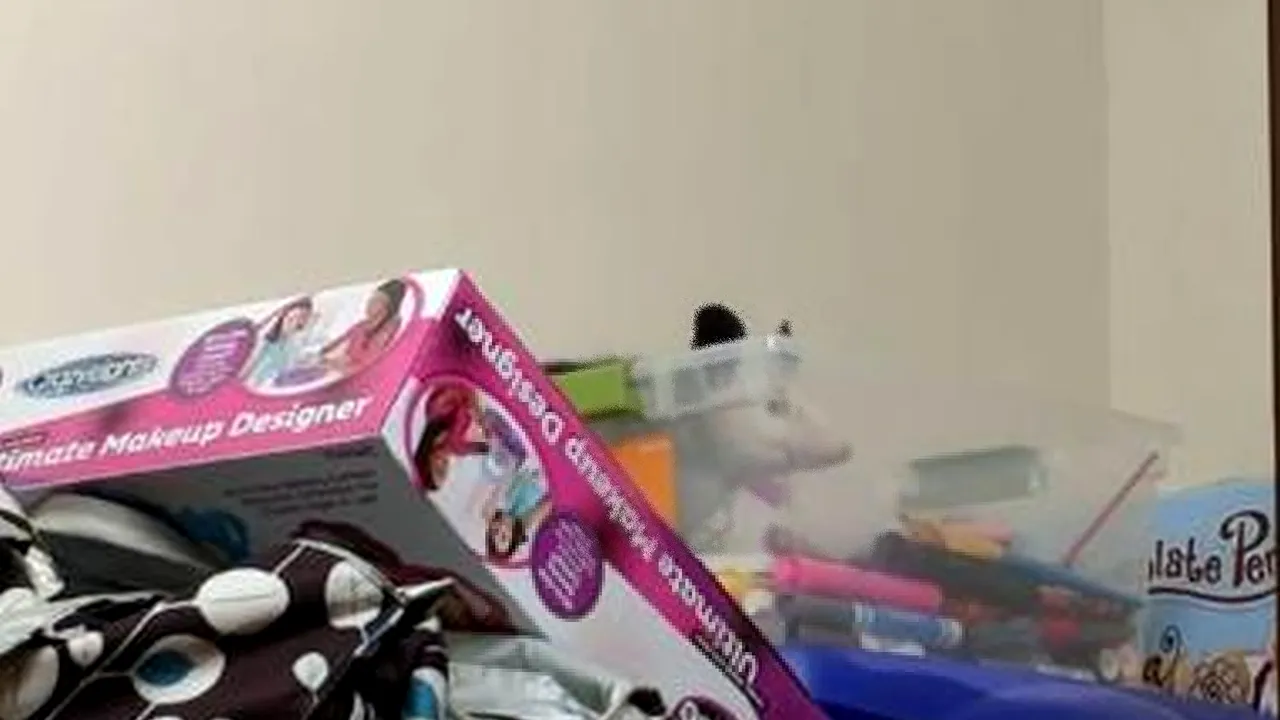 Descoperirea incredibilă făcută de o femeie în dulapul fiicelor sale. „Credeam că există doar în imaginația lor