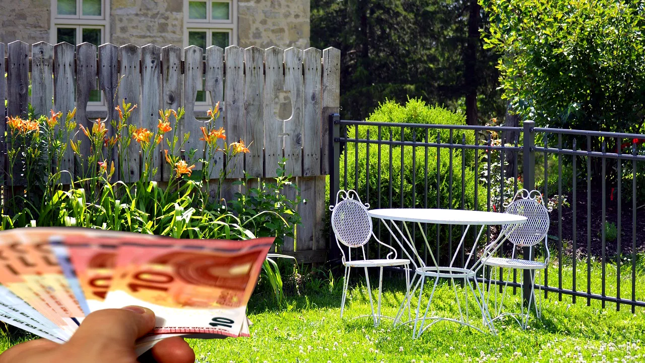 Planta care te umple de BANI dacă o ai în curte. 1 kilogram costă 10.000 de euro