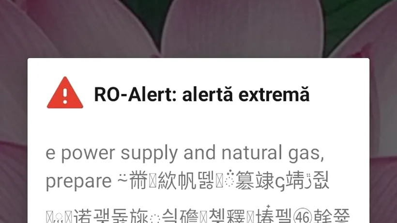 Un bărbat din Cluj a primit mesaj Ro-Alert de furtună în limba chineză. Ce scria, de fapt