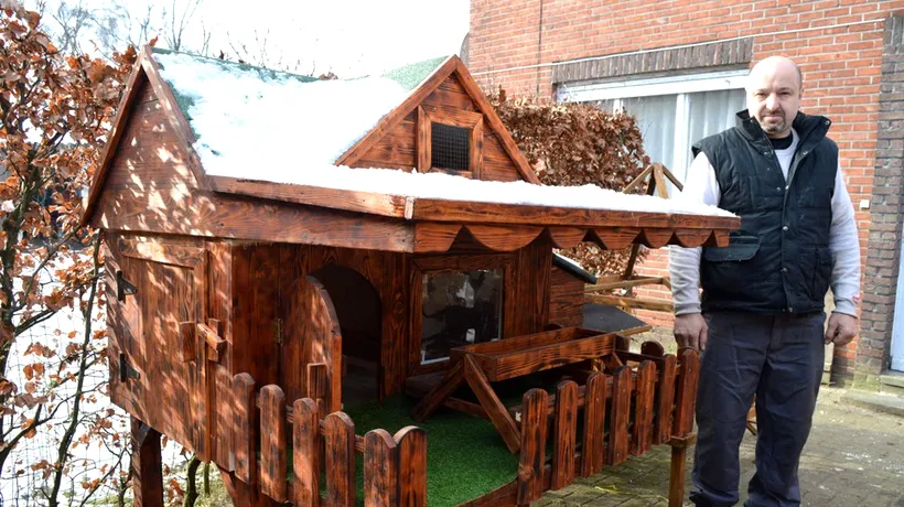 Un român stabilit în Belgia creează „VILE pentru animale”. Au inclusiv terase acoperite cu iarbă artificială și zone de picnic: „Chiar se distrează”