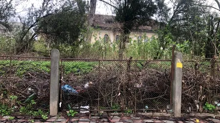 Ce s-a ales de o clădire istorică din Iași, care valorează 1,2 milioane de euro. A devenit „casă” pentru șobolani și oameni fără adăpost