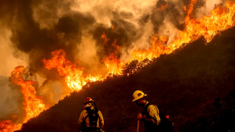 Incendii devastatoare în California, oamenii sunt disperați! Un pompier a murit, iar guvernatorul a decretat stare de urgență. FOTO