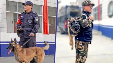 Barton, polițistul cu trei picioare. Cățelul, ciobănesc belgian, face o echipă de pomină cu un coleg șchiop uman japonez