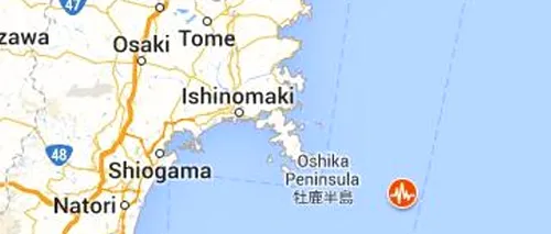 Un cutremur cu magnitudinea de 6,0 a avut loc în Japonia