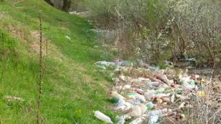 Patru persoane fizice și o persoană juridică, trimise în judecată pentru infracțiuni contra mediului: ”Două locații au fost transformate în gropi de gunoi neautorizate”
