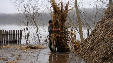 Cod portocaliu de ploi abundente în 13 județe. Cod roșu în Galați. În Bacău școlile au fost închise