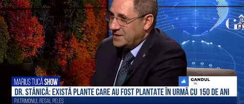 VIDEO | Ion Tucă: „Într-o terasă s-a descoperit o plantă care trebuie neapărat înmulțită”