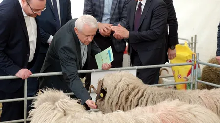 Daea vorbește despre o nevoie simplă a românului, de Paște: Fiecare om dorește să sacrifice un miel - GALERIE FOTO