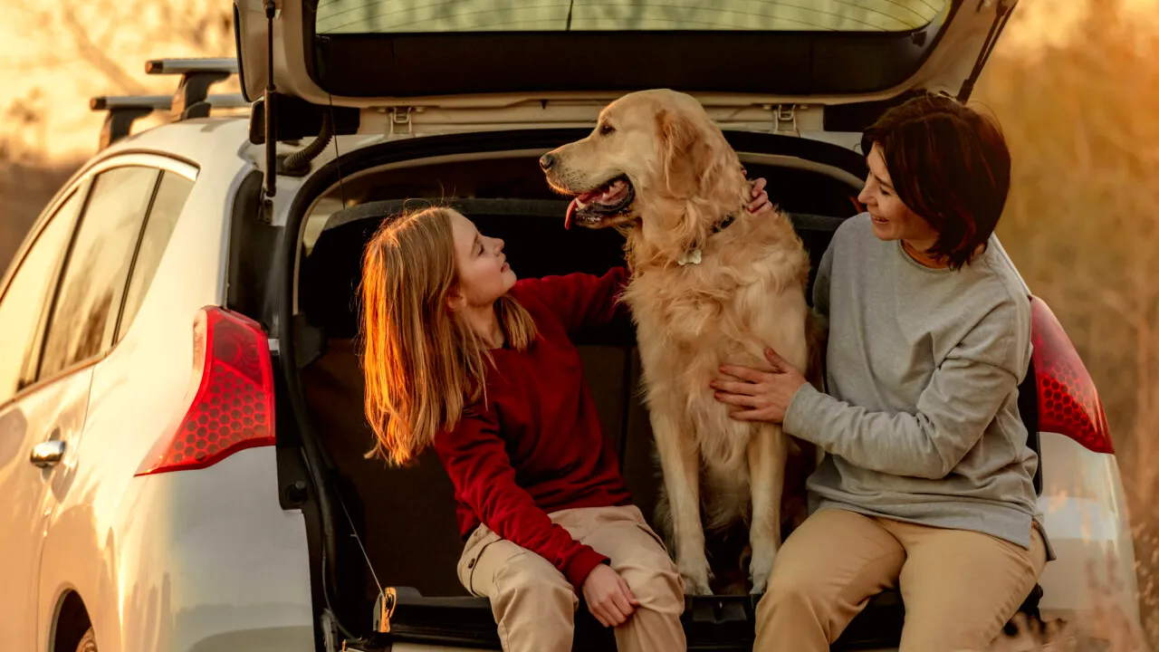 10 pași ca să poți călători într-o țară UE alături de animalul de companie