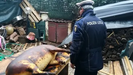 AU TĂIAT PORCUL de Crăciun în curte, iar acum riscă 1 an de ÎNCHISOARE în Italia