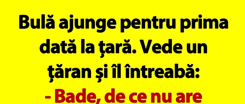 BANC | Bulă se duce la țară: „Bade, de ce nu are coarne vaca ta?”