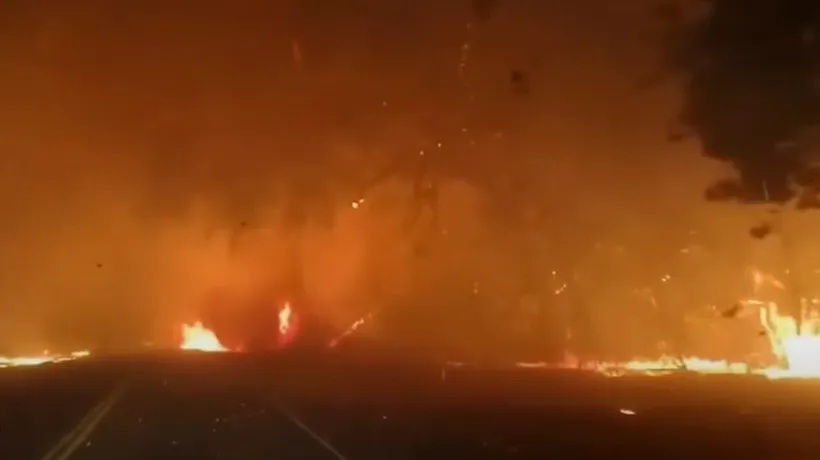 Incendiile au făcut ravagii în California. Guvernul solicită ajutorul statelor vecine (VIDEO)
