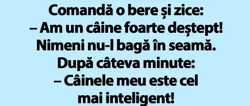 BANC | Bulă intră cu un câine într-un bar