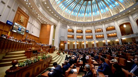 Controversata Lege ANI ajunge în plenul Senatului pentru votul final, cu „amendamentul Fritz”