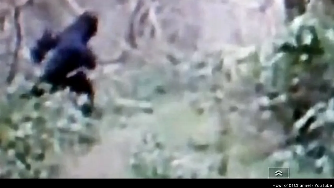 Un post TV oferă o recompensă de 10 MILIOANE DE DOLARI pentru BIGFOOT