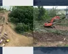 CNAIR: Imagini de la lucrările de defrișare a arborilor de pe amplasamentul elementelor PODULUI peste Prut de la Ungheni – malul românesc
