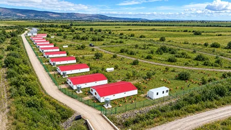 Carmistin The Food Company crește producția de alimente organice, prin deschiderea unei noi ferme de pui de carne BIO, la Săhăteni
