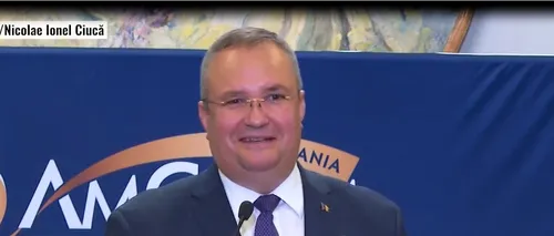 VIDEO | Nicolae Ciucă: ”La următoarea întâlnire cu membrii Camerei de Comerţ Americane o să îl trimit pe ION”