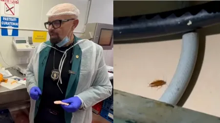 Gândaci, alimente expirate și lipsa autorizației de INCENDIU, la controalele ANPC din 13 unități comerciale. Amenzi de peste 40.000 de lei