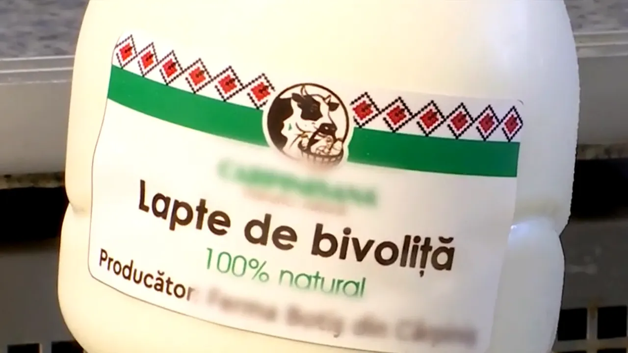 Laptele de BIVOLIȚĂ, care e mai sănătos decât cel de vacă, este din ce în ce mai căutat de clienți. Cu cât vând litrul fermierii români
