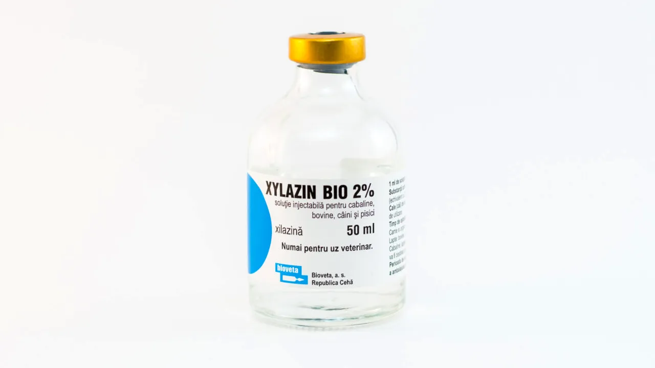 DROGUL care „mănâncă” pielea. A provocat 11 decese în Marea Britanie