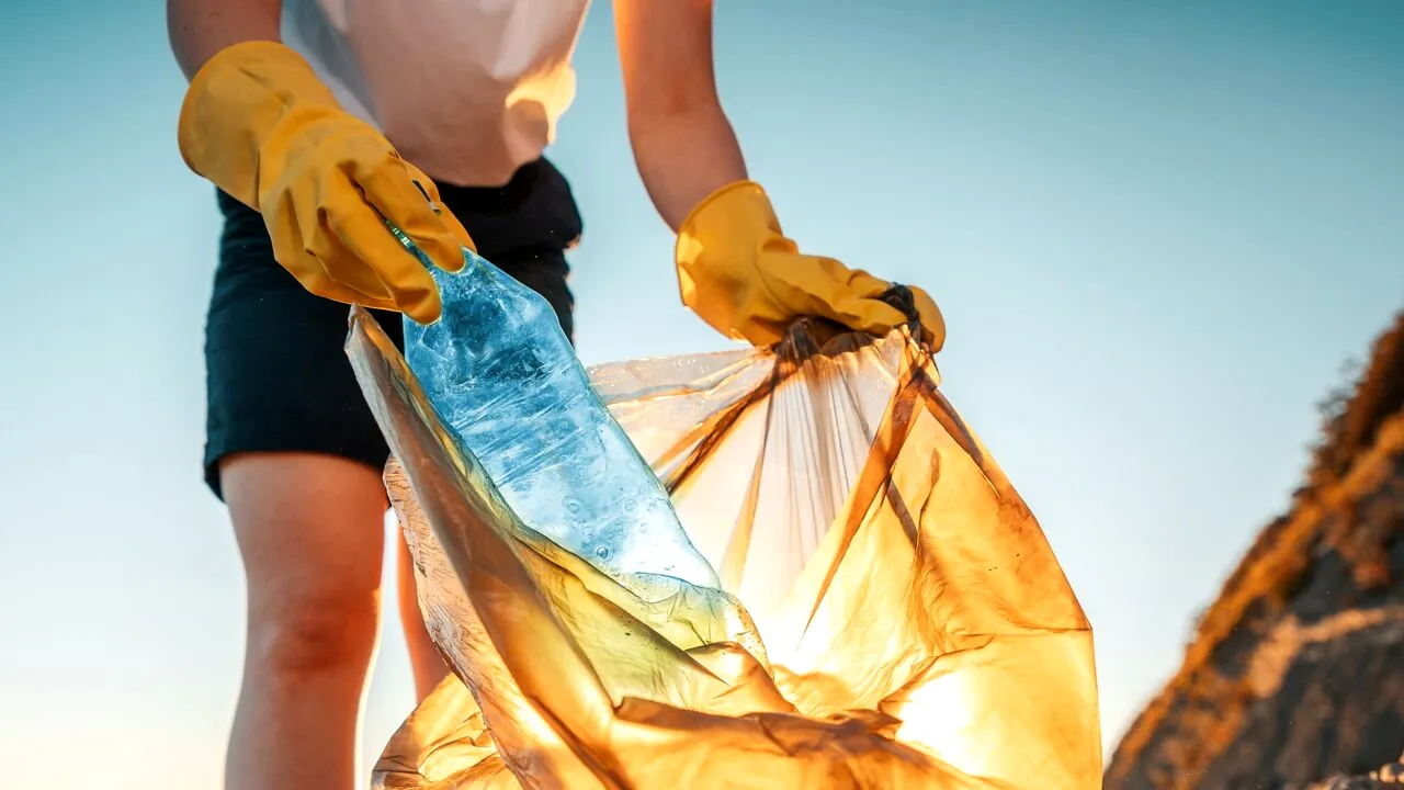 (P) SALUBRIZARE 5: Impactul gestionării necorespunzătoare a deșeurilor în Sectorului 5