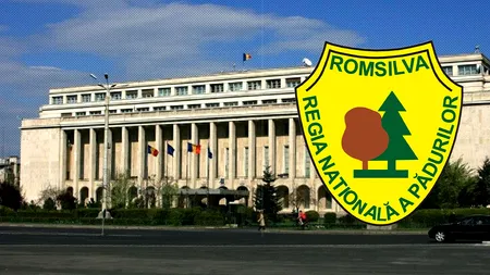 Silvicultorii PROTESTEAZĂ în Piața Victoriei împotriva planului ministrului Mediului de reorganizare a Romsilva