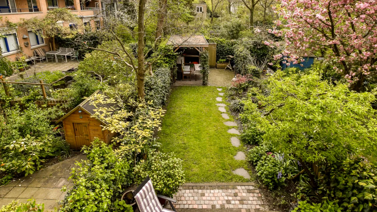 Ce să faci înainte de a tunde gazonul, ca să scapi de buruieni. Activitatea durează 5 minute și este necesară primăvara