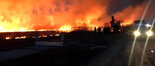 Incendiu puternic de vegetație la ieșirea din Făgăraș. Trafic blocat pe DN1. Video
