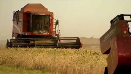 ROMÂNIA, lider în Uniunea Europeană la export de grâu: 