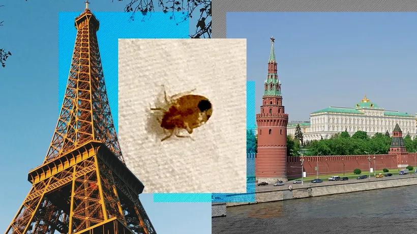 Moscova alimentează ploșnița de pat care terorizează Parisul. În spatele psihozei se ascunde subversiv Kremlinul