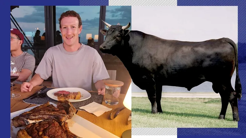 Fondatorul Facebook, Mark Zuckerberg, investiție neașteptată: „Am început să cresc VACI. Din toate proiectele mele, acesta este cel mai delicios”