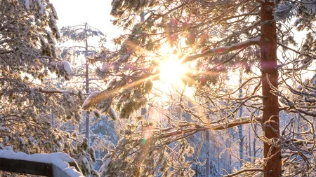 Vremea azi, 9 ianuarie. Temperaturi de 18 grade în sudul și în sud-estul României. Vreme nefiresc de caldă